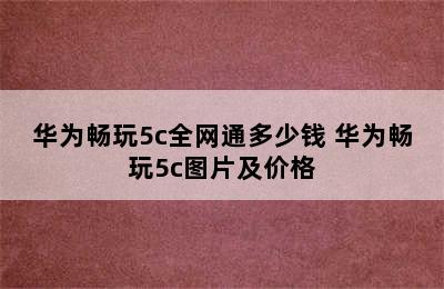 华为畅玩5c全网通多少钱 华为畅玩5c图片及价格